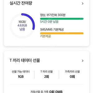 skt 데이터 1기가 1500