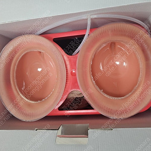 이브라NM돔