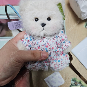 테디터일즈 레나베어 물망초xs