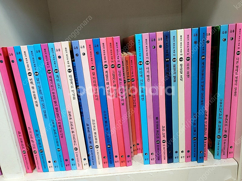 웅진 원리가 보이는 과학 전집 판매합니다.--1