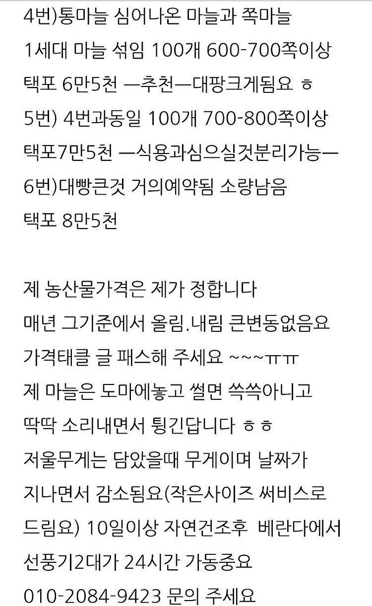 통마늘심어 수확한 홍산마늘 판매--2