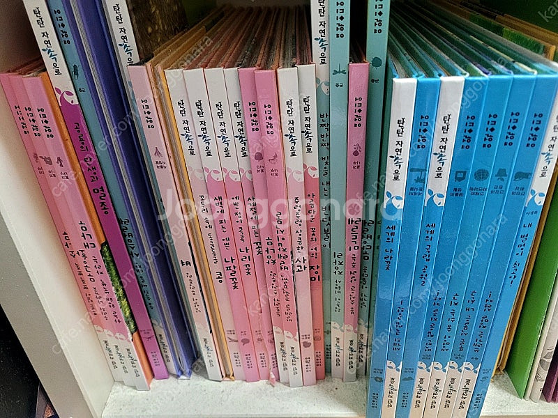 탄탄 자연속으로 100권 전집 팝니다.--1