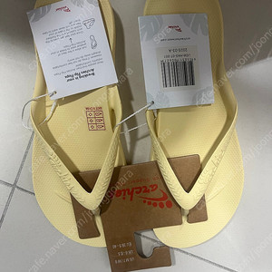 아치스 쪼리(245-250)