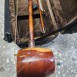전공자해금