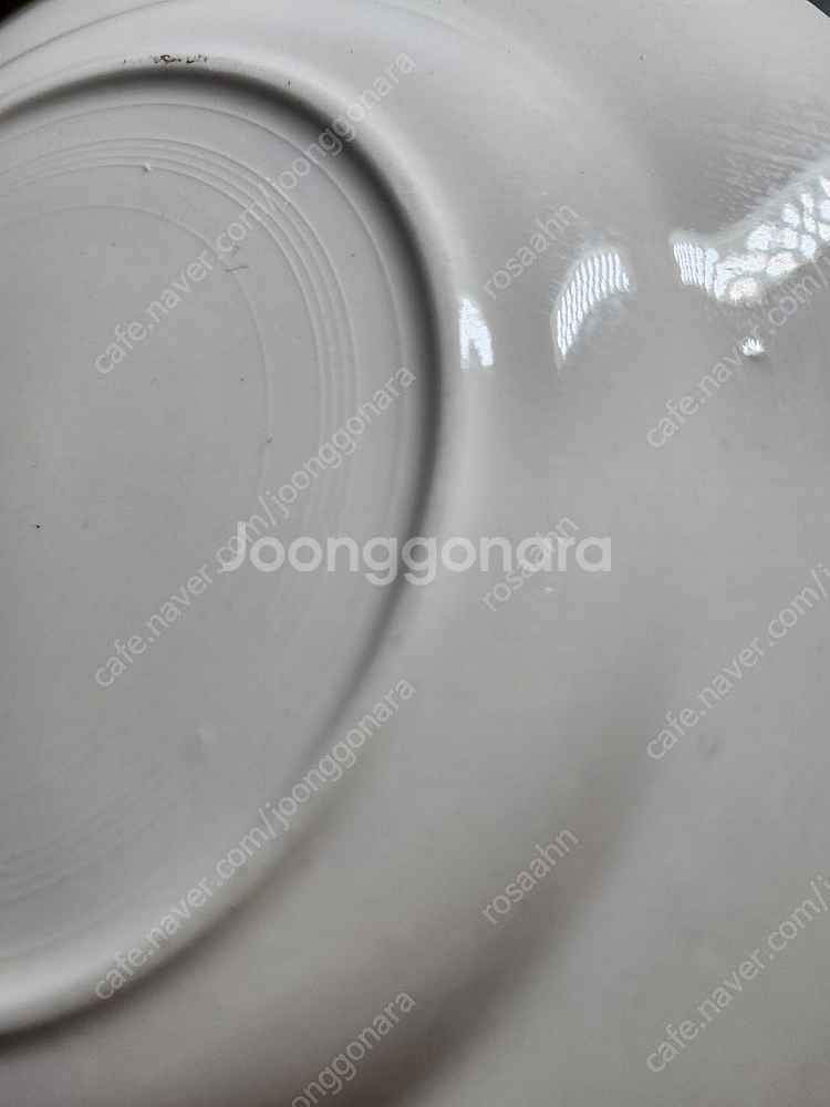 프렌치 빈티지 디구앙 사흐규민 시봉 샐럿접시 2점--9