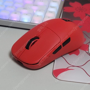 pulsar tenz signature red edition 펄사 텐즈 시그니처 에디션 마우스 (레드)