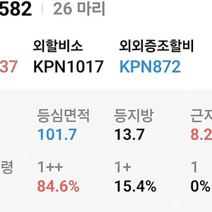 한우 KPN 1582 팔아요
