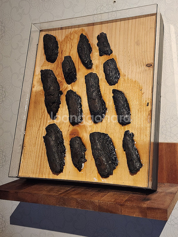 [작품 경매 안내 - 생태 복원 기금 마련프로젝트]--0