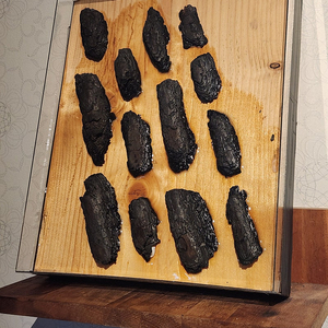 [작품 경매 안내 - 생태 복원 기금 마련프로젝트]