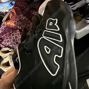 [260]줌지티허슬2 ASW