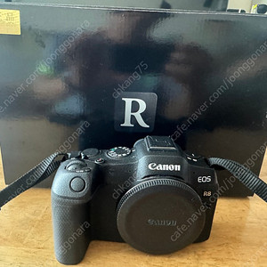 캐논 R8 BODY 판매