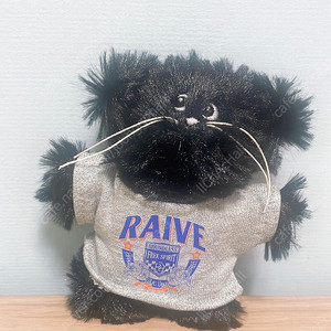 새상품:)레이브(RAIVE)고양이키링+하트호피그립톡
