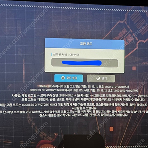 니케 홍련코드