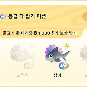 틱톡 낚시 물고기 (문피시,도루묵,실러캔스)구해봐요