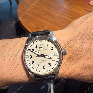 IWC 마크20 흰판