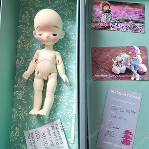 육일인형 구관인형 포켓 월공님 잼잼이 반반이 언아더스페이스 체스카님