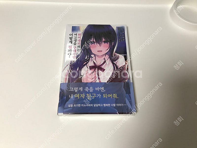 라노벨 라이트 노벨 소설 뛰어내리려는 여고생을 구해주면...--0