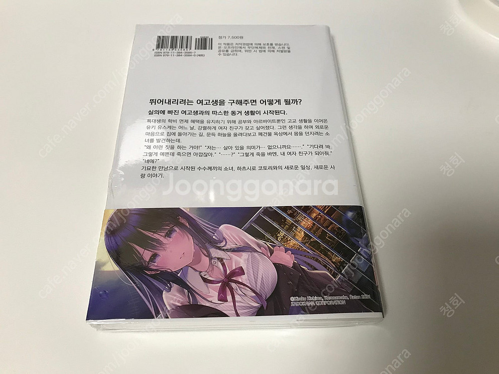 라노벨 라이트 노벨 소설 뛰어내리려는 여고생을 구해주면...--1