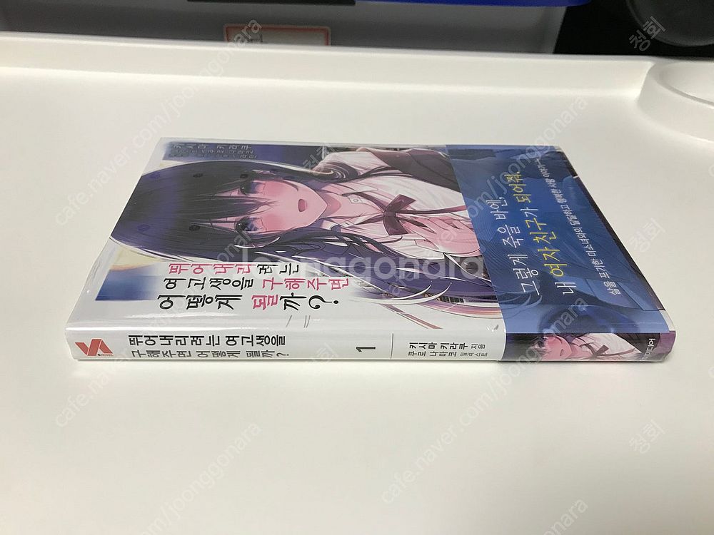 라노벨 라이트 노벨 소설 뛰어내리려는 여고생을 구해주면...--2