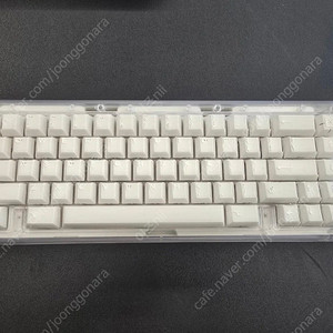 Bauer lite x-ray edition 베어본