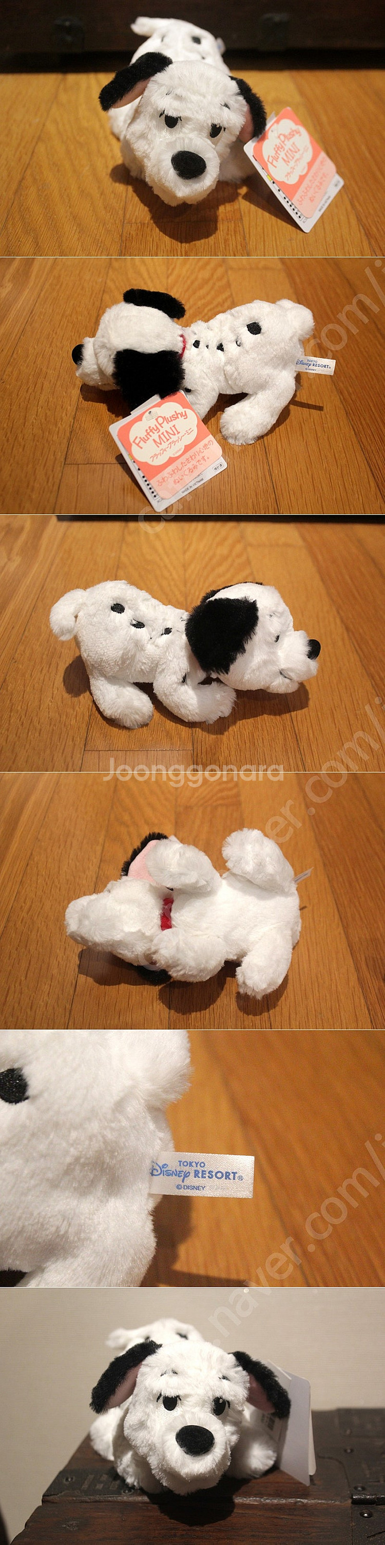 인형 40종 강아지인형 곰인형 테디베어 애착인형 슈퍼배...--9