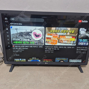 LG 28인치 스마트 TV 28TN525S