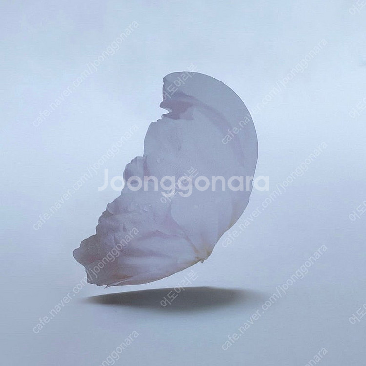 (미개봉) 한정판 이옥토 작약 책갈피 포함 처음 본 새...--0