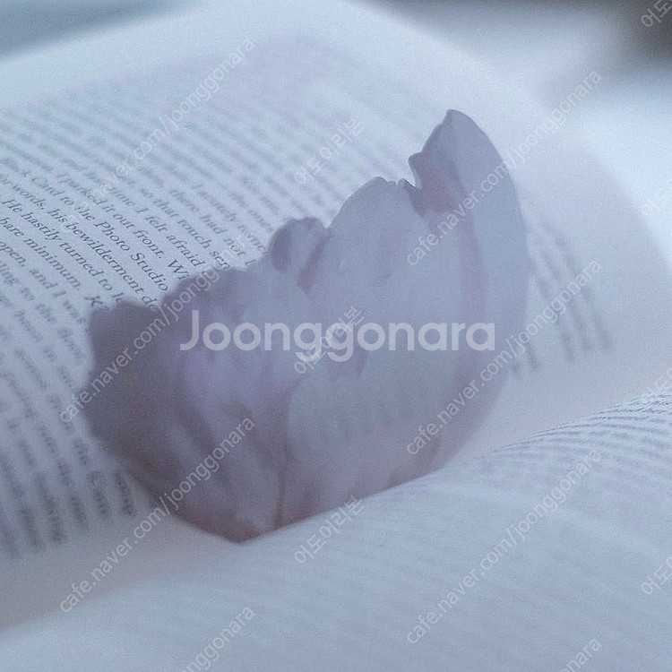 (미개봉) 한정판 이옥토 작약 책갈피 포함 처음 본 새...--1
