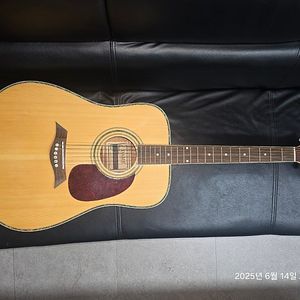 Dame Lilies 70 기타(GUITAR)