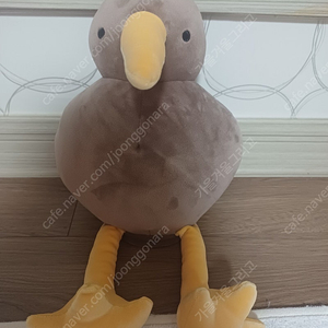 키위새 봉제 인형
