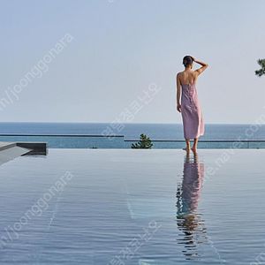 제주 메리어트호텔, 신라호텔 8월1~월15일 사이 가실분 반값.