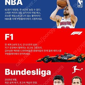 쿠팡플레이 스포츠패스 1경기 1500원 대여 댓글에 예약목록 확인후 문의주세요