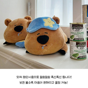(새상품) 꿈나라 코커 봉제 인형 28cm
