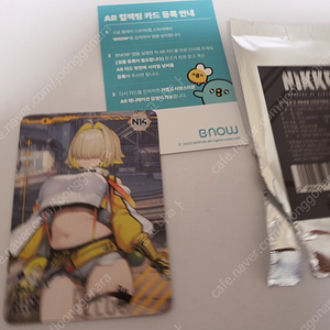 니케 일레그 AR 카드