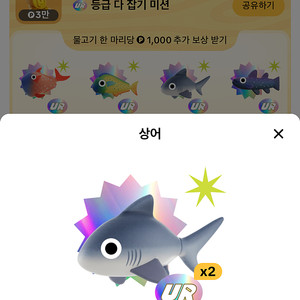 틱톡 UR 상어팝니다 .