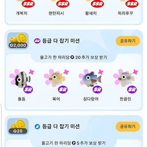 틱톡 sr등급 돌돔+복어+참다랑어+판골린 4마리 모두 일괄 1000원 팔아요