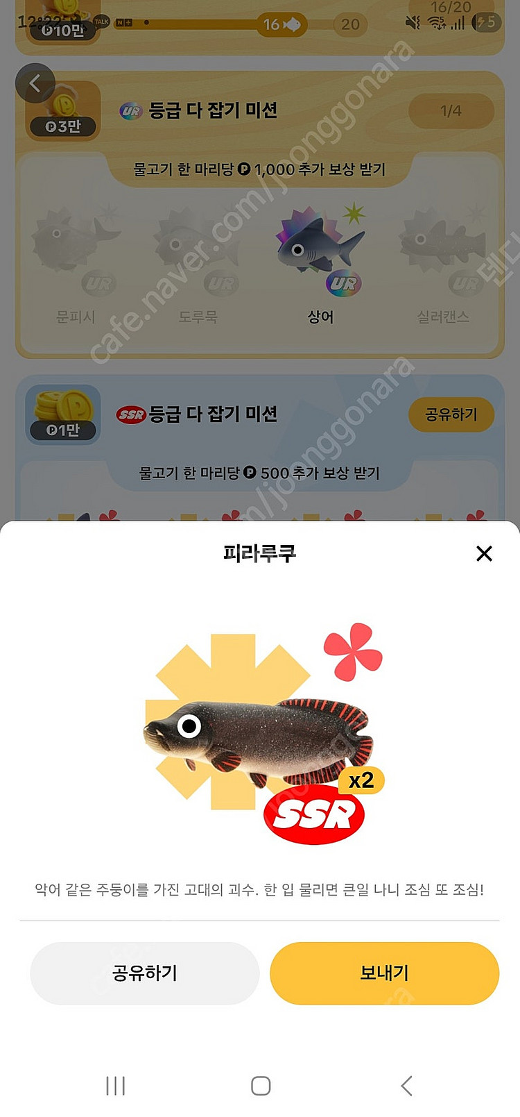 틱톡 낚시 피라루쿠팔아요~--0