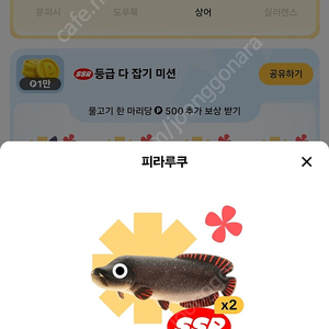 틱톡 낚시 피라루쿠팔아요~