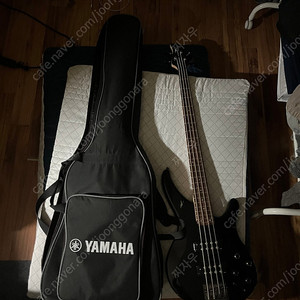 Yamaha trbx304 판매합니다