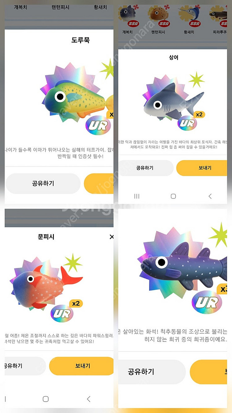 틱톡라이트 낚시 UR 팝니다 실러캔스 도루묵 상어 문피...--0