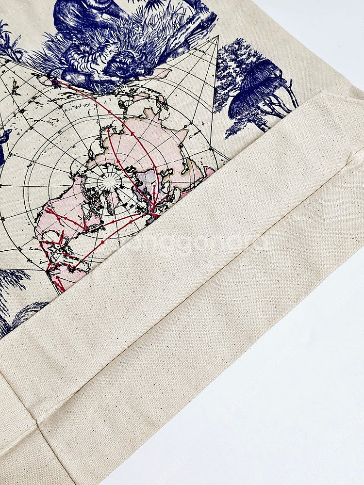 디올 70주년 토트백--4