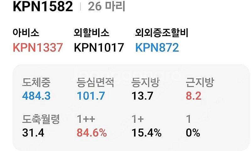 한우 KPN 1420 1492 1582 1476 152...--0