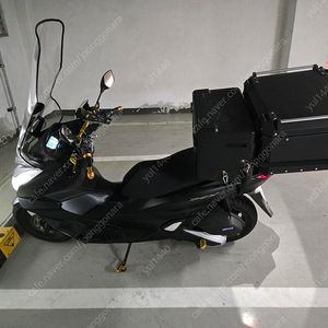 24년식 pcx125 판매
