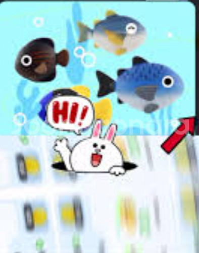 틱톡 낚시 개복치, 랜턴피시, 피라루쿠 3개 합쳐서 5...--0