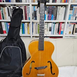에피폰 마스터 빌트 제니스 (epiphone masterbilt zenith) 판매합니다.
