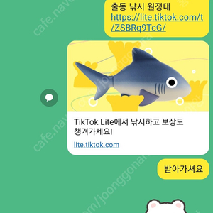 틱톡라이트 낚시 물고기 문피시 도루묵 상어 실러캔스 판매