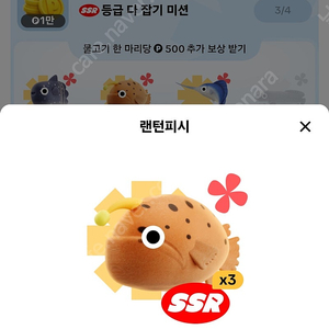 틱톡 낚시 피라루쿠 교환 원합니다