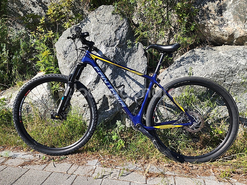 2022년 엘파마 판타지아 S29 8100 카본 MTB...--0