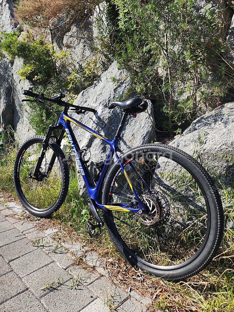 2022년 엘파마 판타지아 S29 8100 카본 MTB...--1