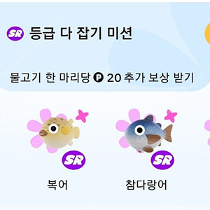 틱톡 물고기 낚시 SR등급 300원